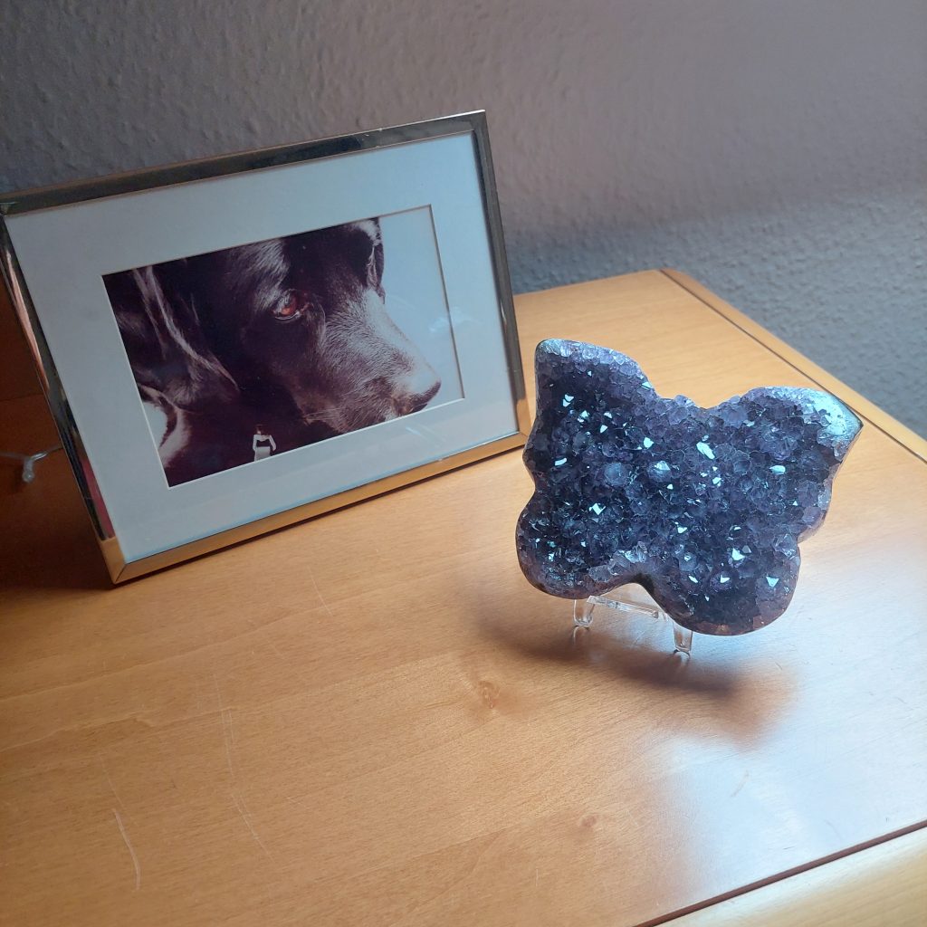 Der Amethyst kann bei negativen Gedanken helfen und den Geist klären.