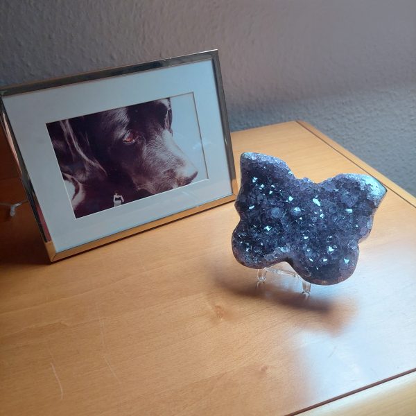 Der Amethyst kann bei negativen Gedanken helfen und den Geist klären.