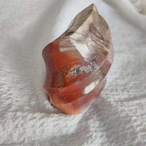 Versteinertes Holz kann erholsam wirken und bei Mediation unterstützen.